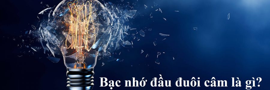Bạc nhớ đầu đuôi câm là gì?